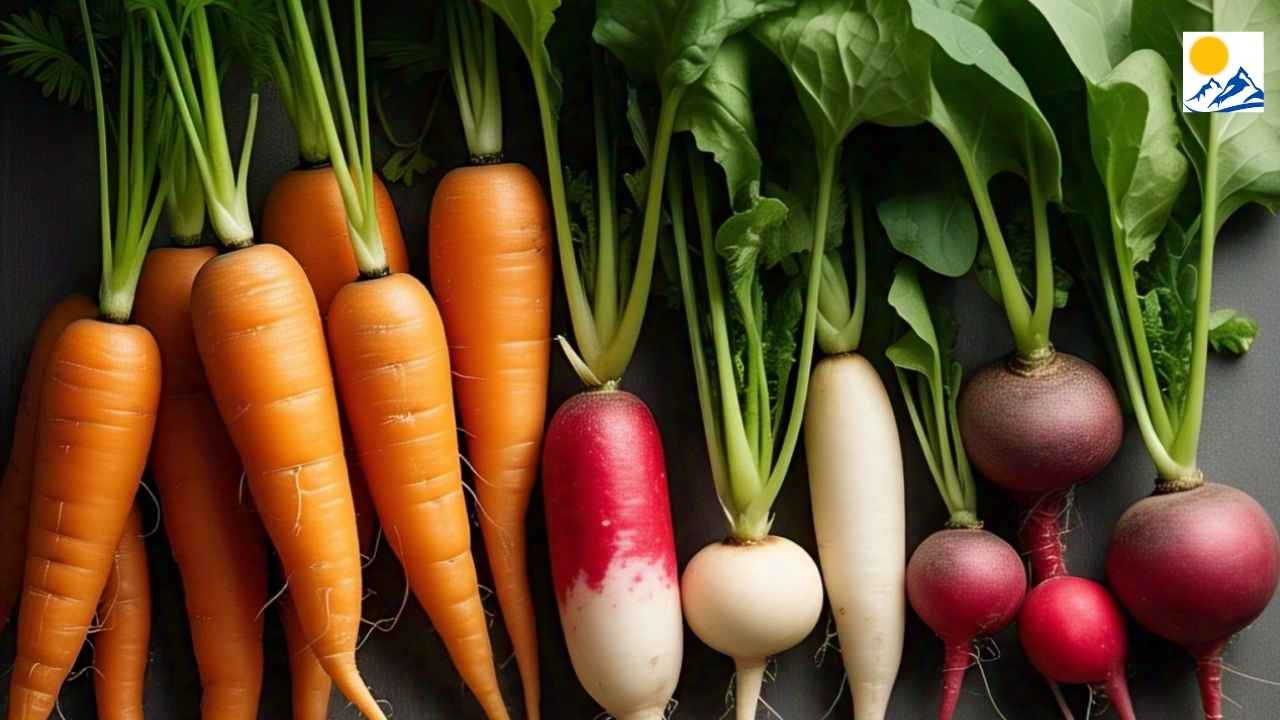 winter veggies
